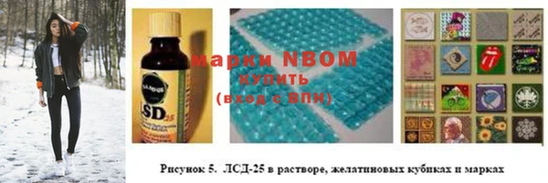 PSILOCYBIN Баксан