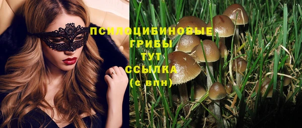 не бодяженный Арсеньев
