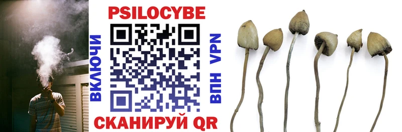 Галлюциногенные грибы ЛСД  Туринск 